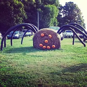 Pumpkin Spider