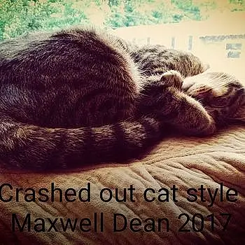 Maxwell Dean