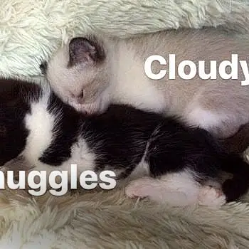 Snuggles & Cloudy