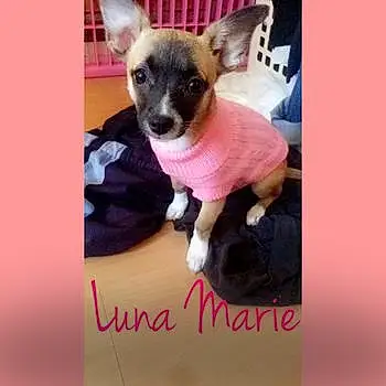 Luna Marie
