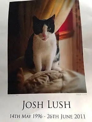 Name  Other Cat Josh