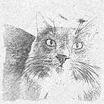 Cat, Carnivore, Felidae, Small To Medium-sized Cats, Whiskers, Snout, Art, Illustration, Drawing, Furry friends, Terrestrial Animal, Painting, Monochrome, Artwork, Visual Arts, Sketch, Graphics