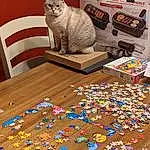 Cat, Blue, Felidae, Toy, Carnivore, Whiskers, Art, Small To Medium-sized Cats, Rectangle, Puzzle, Tail, Wood, Cat Supply, Window, Linens, Domestic Short-haired Cat, Chair, Font, Plastic
