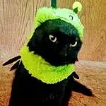 Black cats, Stuffed Toy, Furry friends, Toy, Plush, Tail