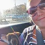Glasses, Hand, Dog, Vision Care, Goggles, Smile, Sunglasses, Dog breed, Eyewear, Carnivore, Gesture, Sunlight, Sky, Tree, Companion dog, Fawn, Cool, Happy, Working Animal
