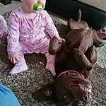 Child, Toddler, Baby, Weimaraner, Snout, Play, Canidae, Fawn, Ear