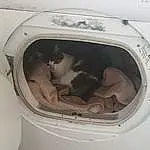 Washing Machine, Clothes Dryer, Major Appliance, Home Appliance, Washing