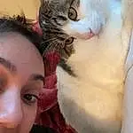 Nose, Cat, Eyelash, Ear, Carnivore, Jaw, Felidae, Gesture, Small To Medium-sized Cats, Iris, Happy, Fawn, Whiskers, Comfort, Selfie, Paw, Domestic Short-haired Cat, Furry friends, Photo Caption, Tail