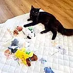 White, Cat, Toy, Textile, Yellow, Carnivore, Felidae, Whiskers, Tail, Small To Medium-sized Cats, Pattern, Stuffed Toy, Plastic, Furry friends, Black cats, Baby Toys, Domestic Short-haired Cat, Art, Puzzle
