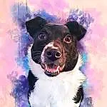 Dog, Carnivore, Dog breed, Jaw, Paint, Art, Happy, Painting, Whiskers, Companion dog, Collar, Snout, Electric Blue, Illustration, Dog Collar, Drawing, Working Animal, Watercolor Paint, Furry friends, Graphics