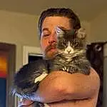 Cat, Felidae, Comfort, Ear, Carnivore, Small To Medium-sized Cats, Whiskers, Gesture, Hug, Furry friends, Domestic Short-haired Cat, Lap, Sitting, Moustache, Claw, Beard, Nail, Paw, Bed, Facial Hair