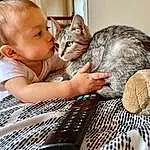 Cat, Facial Expression, Felidae, Comfort, Carnivore, Ear, Small To Medium-sized Cats, Whiskers, Furry friends, Sitting, Domestic Short-haired Cat, Toddler, Couch, Child, Baby & Toddler Clothing, Baby, Paw, Claw