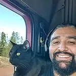 Forehead, Smile, Cat, Hairstyle, Mouth, Window, Black, Beard, Jaw, Carnivore, Felidae, Sky, Cool, Small To Medium-sized Cats, Whiskers, Vehicle Door, Happy, Eyewear, Tree, Beauty