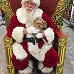 Beard, Santa Claus, Hat, Lap, Facial Hair, Companion dog, Holiday, Event, Christmas, Fur Clothing, Christmas Eve, Furry friends, Fictional Character, Costume Hat, Sitting, Costume, Smile, Interior Design, Tradition