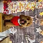 Wood, Twig, Tree, Hat, Food, Event, Tradition, Metal, Cuisine, Pattern, Furry friends, Agriculture