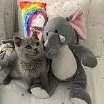 Cat, Stuffed Toy, Felidae, Small To Medium-sized Cats, Plush, Russian blue, Toy, Whiskers, Kitten, Carnivore, Chartreux, Fawn