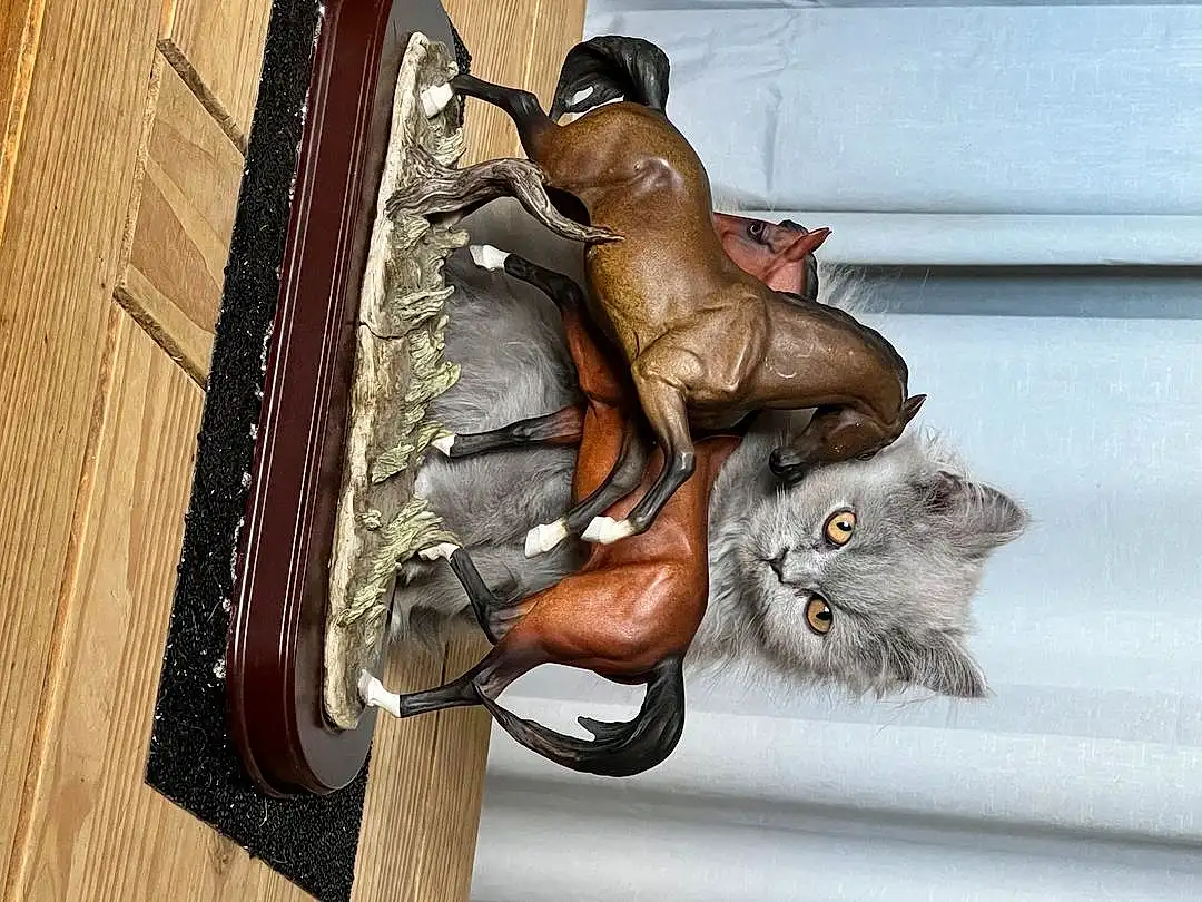 Leg, Cat, Wood, Window, Felidae, Carnivore, Sculpture, Small To Medium-sized Cats, Art, Tail, Statue, Whiskers, Metal, Domestic Short-haired Cat, Furry friends, Bronze Sculpture, Human Leg, Door Handle, Sitting, Monument