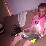 Shoulder, Leg, Mouth, Comfort, Carnivore, Neck, Cat, Lap, Knee, Dog breed, Pink, Thigh, Couch, Interaction, Fawn, Companion dog, Magenta, Trunk