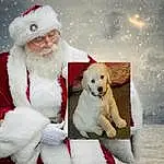 Dog, Beard, Smile, Hat, Happy, Santa Claus, Carnivore, Companion dog, Lap, Dog breed, Event, Holiday, Snow, Furry friends, Facial Hair, Christmas, Winter, Fictional Character, Christmas Eve, Costume Hat
