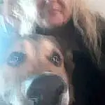 Nose, Dog, Eyes, Smile, Carnivore, Jaw, Ear, Dog breed, Iris, Fawn, Companion dog, Happy, Whiskers, Snout, Selfie, Fun, Furry friends, Canidae, Photo Caption