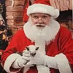 Photograph, Eyes, White, Beard, Hat, Human Body, Sleeve, Santa Claus, Smile, Red, Facial Hair, Lap, Event, Holiday, Glove, Fictional Character, Christmas, Furry friends, Christmas Eve, Natural Material