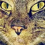 Cat, Felidae, Carnivore, Small To Medium-sized Cats, Whiskers, Terrestrial Animal, Snout, Close-up, Furry friends, Domestic Short-haired Cat, Illustration, Big Cats, Fang, Art, Lynx, Pattern, Wild cat