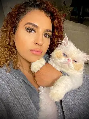 Name Persian Cat Fiona