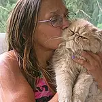 Glasses, Skin, Eyes, Cat, Vision Care, Carnivore, Felidae, Tree, Small To Medium-sized Cats, Fawn, Eyewear, Happy, Whiskers, Comfort, Long Hair, Grass, Furry friends, Sitting, Nail