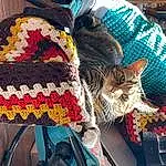 Cat, Textile, Felidae, Carnivore, Creative Arts, Small To Medium-sized Cats, Plant, Art, Pattern, Woolen, Craft, Wool, Hat, Whiskers, Fashion Accessory, Furry friends, Comfort, Thread, Domestic Short-haired Cat, Woven Fabric