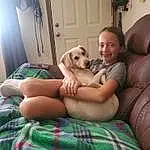 Dog, Smile, Comfort, Muscle, Couch, Tartan, Picture Frame, Dog breed, Human Body, Carnivore, Lap, Interaction, Companion dog, Fawn, Thigh, Fun, Plaid, Leisure, Living Room
