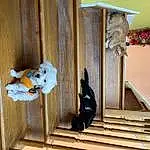 Door, Wood, Window, House, Wood Stain, Hardwood, Stairs, Siding, Building, Facade, Home Door, Metal, Pattern, Plywood, Room, Handrail, Plank, Sash Window, Tree, Ceiling