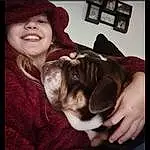 Smile, Dog, Ear, Carnivore, Dog breed, Comfort, Cap, Happy, Fawn, Companion dog, Whiskers, Picture Frame, Working Animal, Snout, Boston Terrier, Selfie, Furry friends, Toy Dog, Puppy love