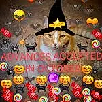 Cat, Carnivore, Yellow, Font, Felidae, Art, Whiskers, Small To Medium-sized Cats, Photo Caption, Event, Graphics, Happy, Graphic Design, Illustration, Advertising, Costume Hat, Visual Arts, Fiction, Circle