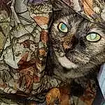 Cat, Plant, Wood, Tree, Camouflage, Felidae, Carnivore, Fawn, Small To Medium-sized Cats, Whiskers, Art, Snout, Trunk, Graffiti, Military Camouflage, Close-up, Pattern, Furry friends
