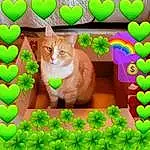 Cat, Green, Nature, Carnivore, Felidae, Plant, Grass, Fawn, Small To Medium-sized Cats, Puzzle, Whiskers, Tail, Groundcover, Font, Art, Graphics, Rectangle