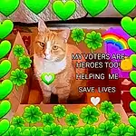 Plant, Cat, Green, Carnivore, Felidae, Grass, Font, Fawn, Jigsaw Puzzle, Puzzle, Whiskers, Small To Medium-sized Cats, Groundcover, Internet Meme, Happy, Tail, Photo Caption, Graphics, Logo