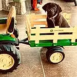 Tire, Wheel, Dog, Vehicle, Automotive Tire, Green, Riding Mower, Vroom Vroom, Tread, Lawn Mower, Mower, Tractor, Carnivore, Mode Of Transport, Fender, Automotive Design, Rolling, Grass, Agricultural Machinery, Automotive Wheel System