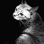 Cat, Felidae, Carnivore, Small To Medium-sized Cats, Whiskers, Grey, Terrestrial Animal, Snout, Darkness, Close-up, Black & White, Furry friends, Domestic Short-haired Cat, Monochrome, Still Life Photography, Sculpture, Big Cats