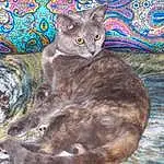Cat, Felidae, Carnivore, Iris, Grey, Small To Medium-sized Cats, Whiskers, Fawn, Snout, Painting, Tail, Art, Domestic Short-haired Cat, Drawing, Furry friends, Paint, Terrestrial Animal, Visual Arts, Illustration, Cat Bed