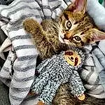 Cat, White, Felidae, Textile, Carnivore, Toy, Comfort, Grey, Small To Medium-sized Cats, Whiskers, Fawn, Pattern, Tail, Furry friends, Stuffed Toy, Domestic Short-haired Cat, Paw, Claw