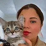 Skin, Hand, Cat, Felidae, Ear, Carnivore, Small To Medium-sized Cats, Gesture, Comfort, Finger, Eyelash, Whiskers, Fawn, Snout, Nail, Furry friends, Domestic Short-haired Cat, Eyewear, Paw, Sitting