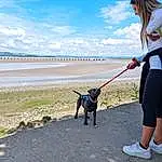 Cloud, Sky, Water, Dog, People In Nature, Carnivore, Dog breed, Coastal And Oceanic Landforms, Travel, Fawn, Happy, Companion dog, Lake, Sneakers, Beach, Leisure, Horizon, Electric Blue, Fun, Shore