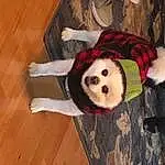 Wood, Toy, Fawn, Companion dog, Hardwood, Wood Stain, Dog breed, Varnish, Wool, Stuffed Toy, Plank, Natural Material, Laminate Flooring, Furry friends, Carmine, Wood Flooring, Tail, Plywood