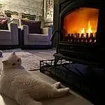 Comfort, Cat, Felidae, Wood, Interior Design, Wood-burning Stove, Small To Medium-sized Cats, Carnivore, Whiskers, Hearth, Living Room, Gas, Hardwood, Fireplace, Heat, Tail, Stove, Fire Screen
