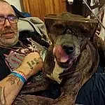 Glasses, Dog, Dog breed, Tattoo Artist, Carnivore, Companion dog, Working Animal, Beard, Temporary Tattoo, Elbow, Whiskers, Fang, Tattoo, Eyewear, Canidae, Wrist, Personal Protective Equipment, Flesh, Furry friends
