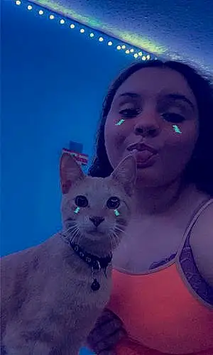 Name Tabby Cat Cinnamon