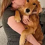 Dog, Ear, Carnivore, Dog breed, Gesture, Happy, Companion dog, Fawn, Snout, Blond, Selfie, Fun, Furry friends, Brown Hair, Kiss, Dog Supply, Puppy love, Canidae