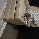 Comfort, Grey, Beige, Wood, Rectangle, Pattern, Fashion Accessory, Linens, Hardwood, Metal, Room, Art, Paper, Packing Materials, Paper Product, Sitting